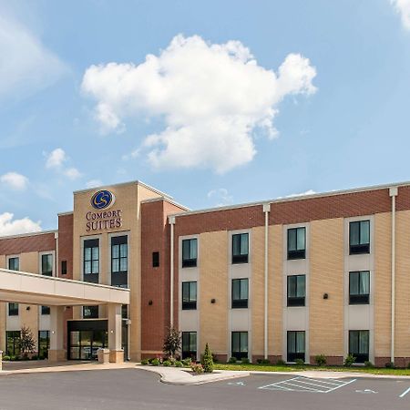 Comfort Suites Rensselaer Near Fair Oaks Exterior foto